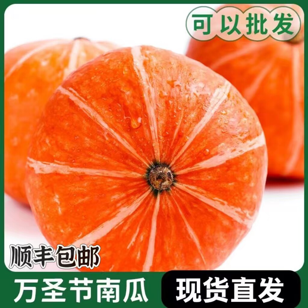 顺丰红南瓜万圣节南瓜灯新鲜红皮南瓜创作雕刻装饰摆设南瓜盅山东