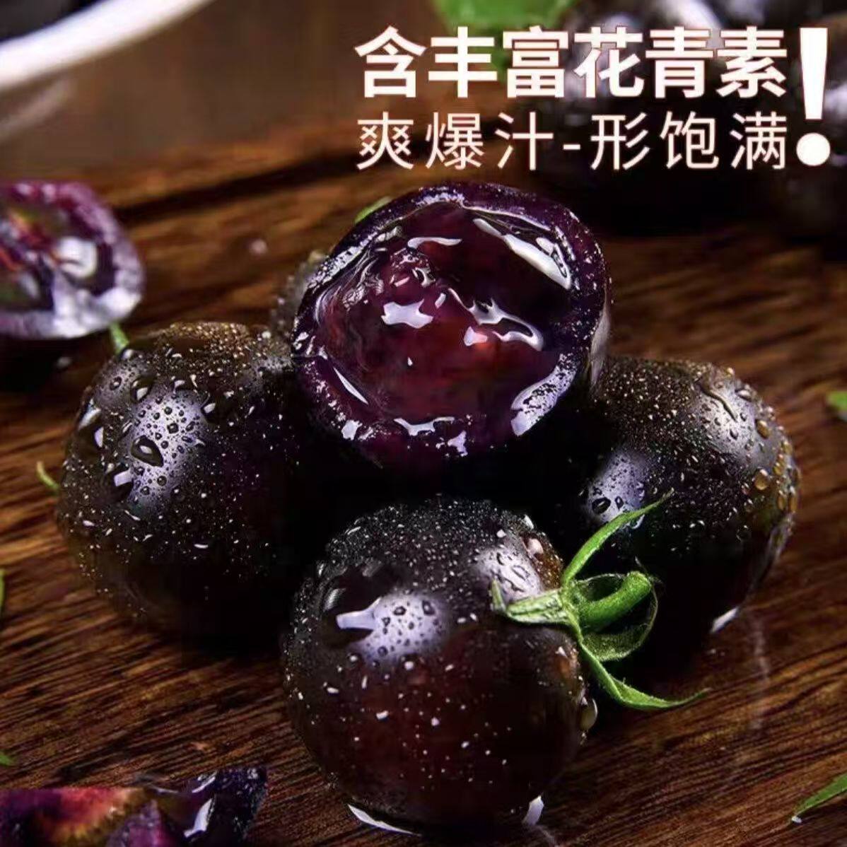 黑色小番茄黑珍珠黑色圣女果紫色小西红柿花青素水果顺丰送货上门