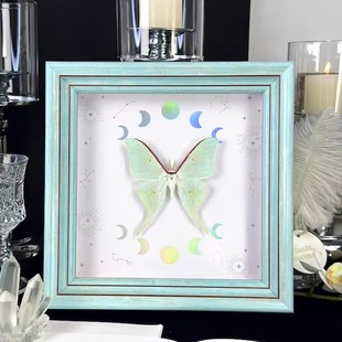 月神蛾绿尾大蚕蛾薄荷绿色蝴蝶标本相框手工摆件马年新年生日礼物