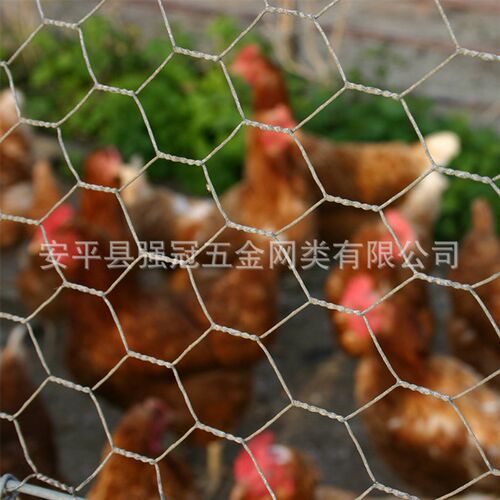 建筑墙面保温六角网 家禽防护养鸡网 养殖网 热镀锌材质拧花网
