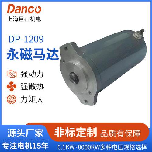 DP-1209电机系列直流永磁有刷电机ATV/UTV绞盘电机马达永磁电机