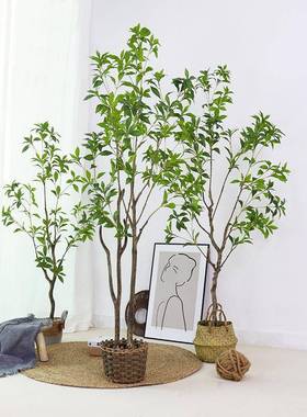 仿真绿植室内盆栽仿生假绿植客厅落地摆件仿真马醉木景观