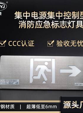 集中电源集中控制A型智能应急疏散指示灯壁挂式不锈钢双向指示灯
