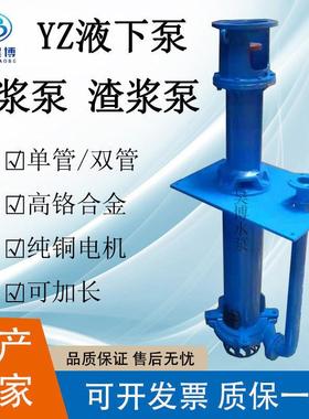 液下泥浆泵YZ立式液下泵高扬程单双管高铬合金渣浆泵100YZ100-30