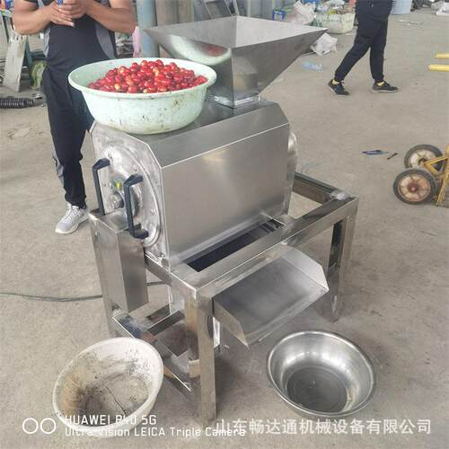 桃子枇杷橄榄去核商用不锈钢水果去核设备杨梅芒果樱桃去核打浆