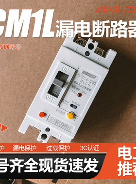 CM1LE单相2P漏电断路器63A 80A 100A 125A 220V 250A空气开关160A