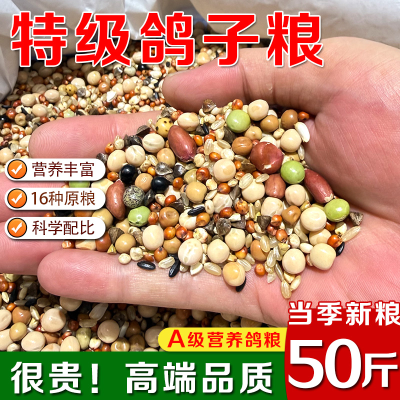 精品鸽粮50斤高营养赛鸽幼鸽育雏鸽粮鸽子粮食鹦鹉粮鸟食通用批发