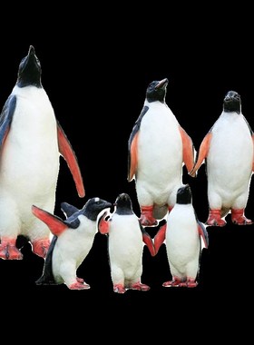 仿真企鹅摆件动物雕n塑玻璃钢户外海洋馆冰雪水池幼儿园主题装饰