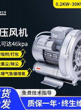 现货高压鼓风机单段多叶高压风机工业吸附打包集尘高压漩涡气泵