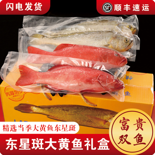 高端礼盒东海大礼包随手礼宁波舟山特产大黄鱼东星斑礼盒伴手礼