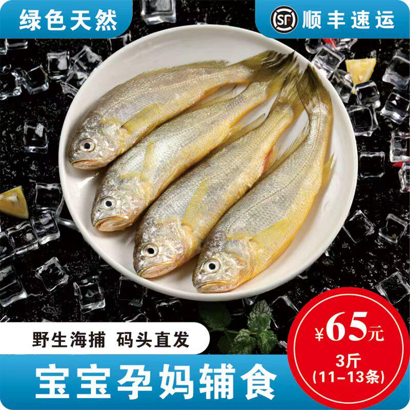 3斤舟山野生小黄花鱼新鲜海捕小黄鱼黄花鱼鲜活海鲜水产