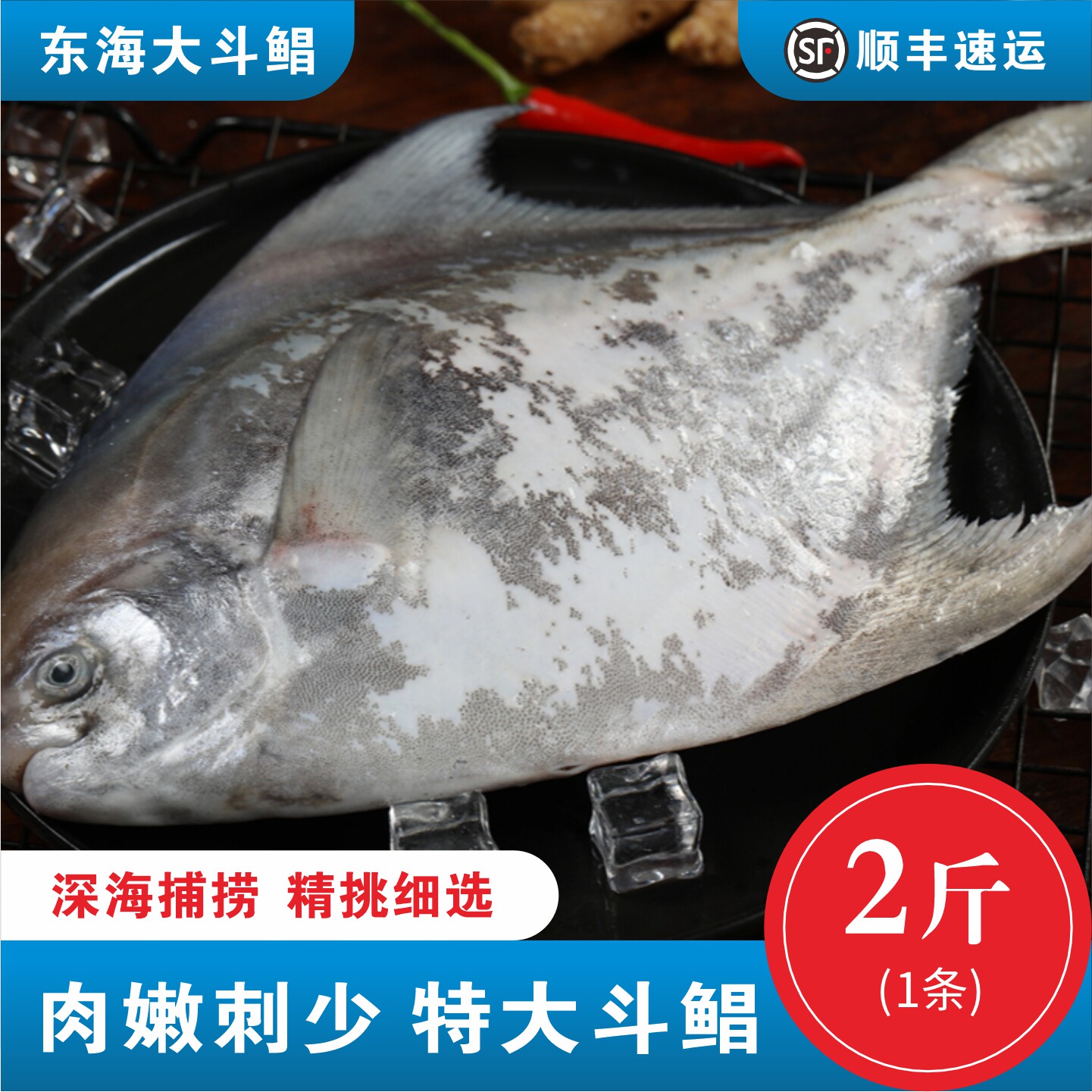 舟山野生特大斗鲳鱼鲜活冷冻东海超大白鲳鱼深海水产速冻