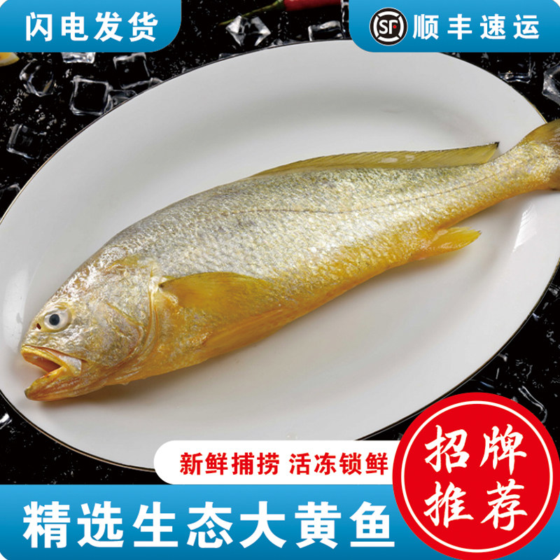 深水大黄鱼鲜活冷冻特大黄花鱼过年送礼海鲜送礼水产,水产肉类/新鲜蔬果/熟食,黄鱼,淘宝优惠券,粉丝福利购,淘宝优惠卷
