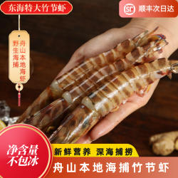 舟山竹节虾超大九节虾活水产速冻海捕斑节虾野生大海虾5-6头/斤
