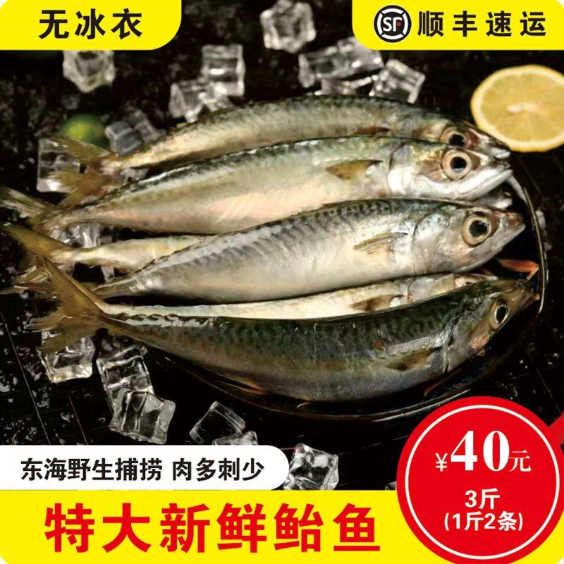东海海捕青占鱼深海燕青舟山鲜活冷冻青花鱼整条鲐鱼,水产肉类/新鲜蔬果/熟食,青花鱼,淘宝优惠券,粉丝福利购,淘宝优惠卷