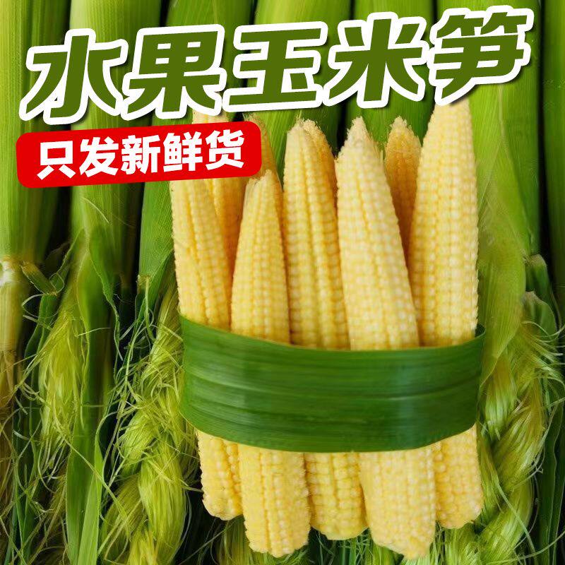 新鲜现摘甜玉米笋水果玉米芯水手指玉米仔迷你小玉米笋蔬菜包邮