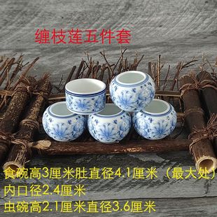 绣眼鸟食罐新款鸟食罐红子贝子绣眼黄豆鸟柳莺鸟食罐五件套鸟碗食