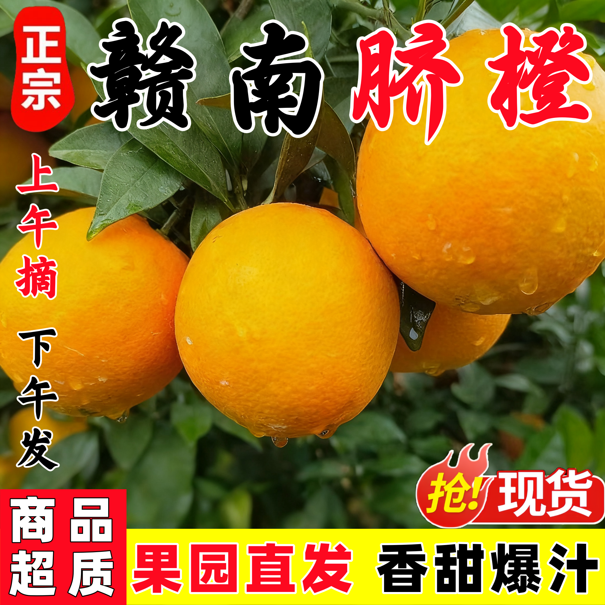 江西赣南脐橙橙子新鲜水果当季整箱10斤正宗精品冰糖赣州甜5礼盒