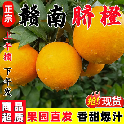 正宗江西赣南脐橙新鲜现摘橙子