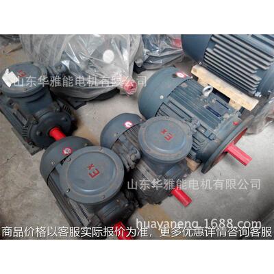 YTSP315L1-4-160W电机替代华达电机YSP电机-带特制风机带过滤网