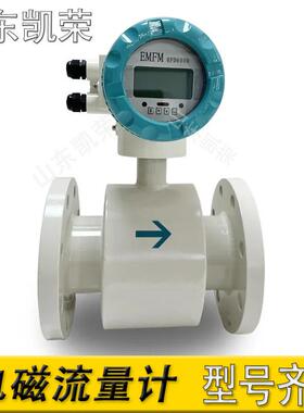 供应LDDC一体式衬垫PTFE电极316L废水电磁流量计型号齐全