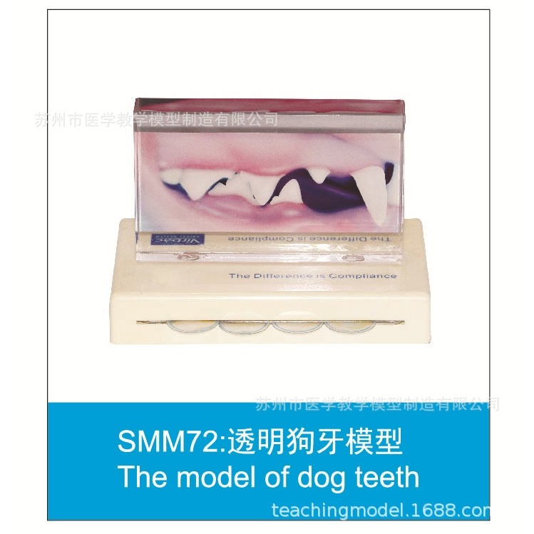 SMM系列促销模型,文具电教/文化用品/商务用品,教学标本/模型,淘宝优惠券,粉丝福利购,淘宝优惠卷