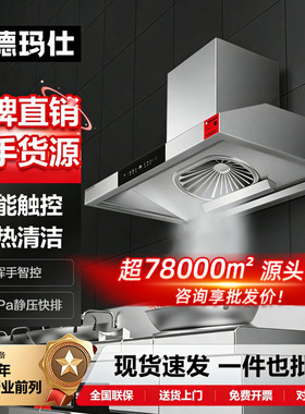 德玛仕商用油烟机大吸力去油餐饮店 不锈钢强力抽油烟机饭店专用