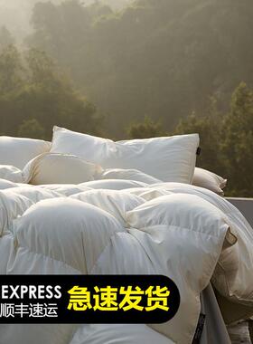 MARK CROSS玛洛驰高奢品进口5A大朵95白鹅羽绒被加厚锁温保暖被芯