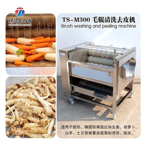 土豆去皮机 大姜清洗机 毛辊清洗去皮机 多功能马蹄新姜清洗去泥