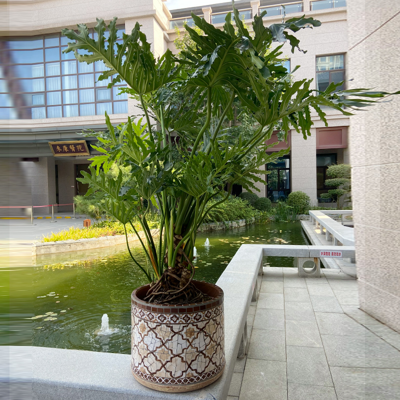 高档会所民宿大堂客厅轻奢落地大花盆 网红绿植创意插花器马赛克