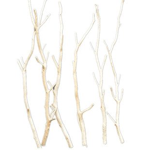 去皮树杈多叉干树枝橱窗插花装饰天然造型造景树枝龙骨造型加粗型