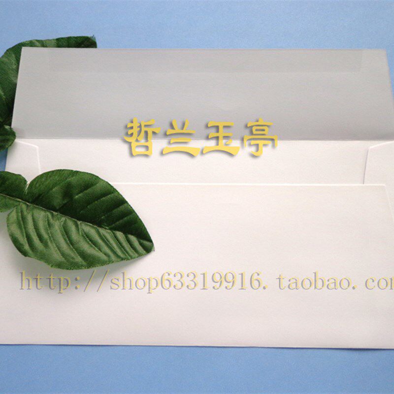 5号开窗信封 西式商务贺卡信封100个封口带粘胶 白色无字国际信