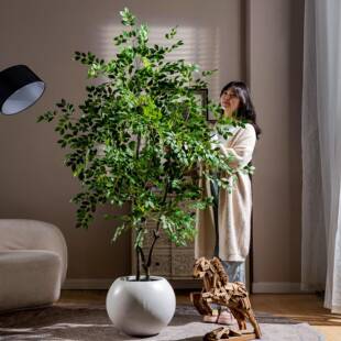 仿真榆钱树绿植假树仿生植物落地金钱榕室内客厅大型造景装饰摆件