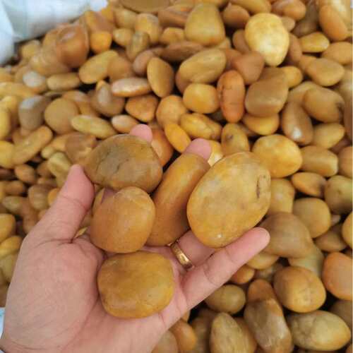直供云浮天然黄色鹅卵石雨花石园林庭院铺设鹅卵石假山点缀原石