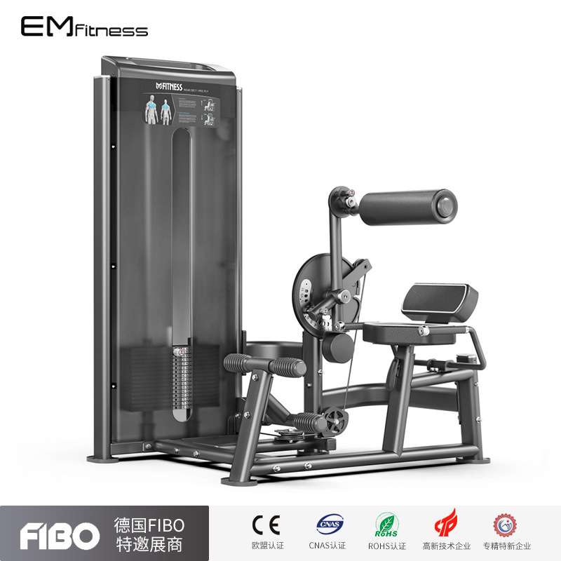 新款腰部训练器商用腰腹二合一器械挺身卷腹私教工作室器材大全