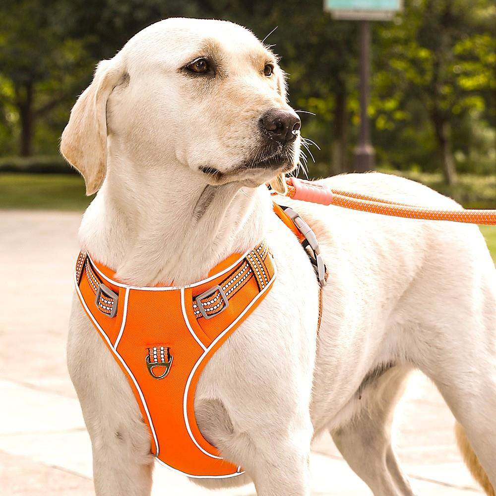 狗狗牵引绳背心式宠物胸背带大中犬防挣脱爆冲反光可手提户外通勤
