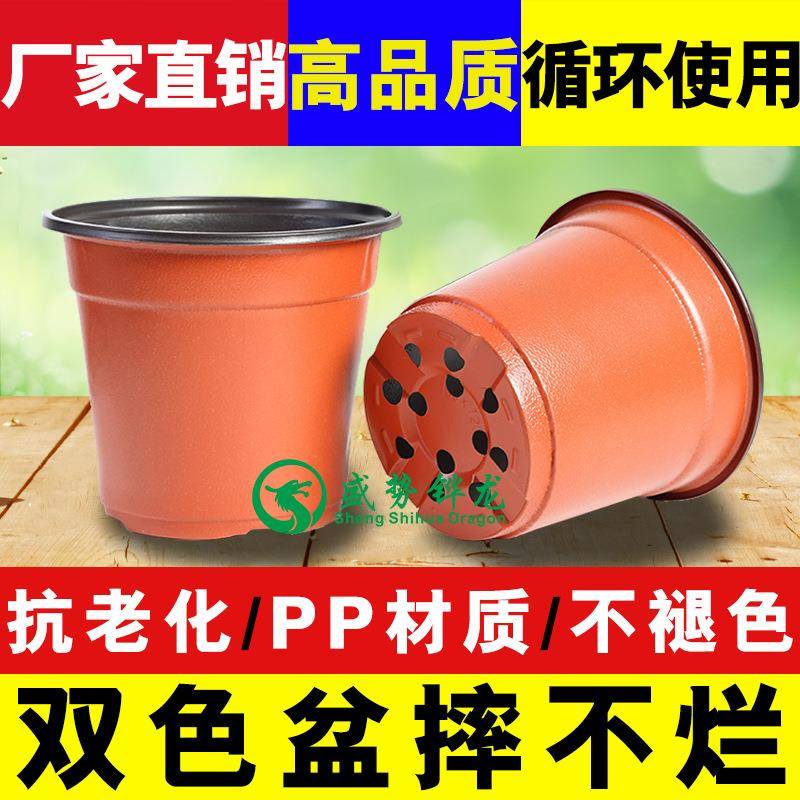 双色花盆优质PP材质摔不坏塑料种植育苗花盆厂家直销