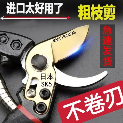剪刀修枝园艺剪刀修枝剪修剪树枝强力修枝修剪果树修树枝剪刀SK5