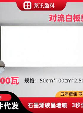 石墨烯碳晶取暖器壁挂式墙暖加热壁画家用暖气