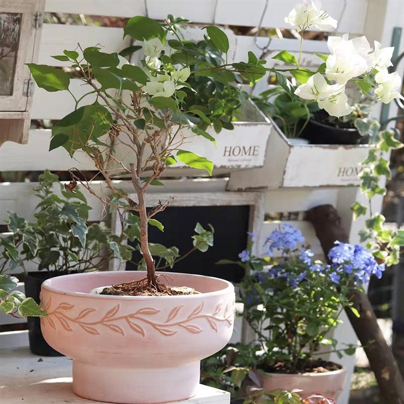 红陶花盆大口径矮盆种球s盆田园文艺简约通用透气排水花园露台陶