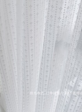 韩式小清新白色蕾丝窗纱帘波点y纱飘窗女儿公主房卧室刺绣花纱田