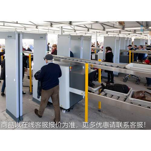 意大利- 多区域性能金属探测器