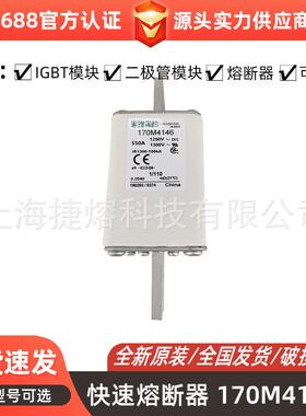 170M4146 170M4194 快速熔断器 电子元器件 库存充足 量大价优