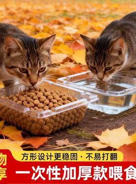 一次性PET投喂碗猫狗桌面