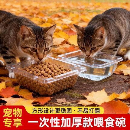 一次性投喂碗流浪猫咪流浪狗喝水碗懒人家用办公桌面垃圾盘吐骨碟