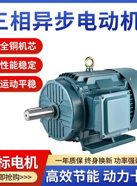 三相电机Y100L2-4 3KW/Y112M-4 4KW/1.1/2.2/5.5KW全铜国标电动机
