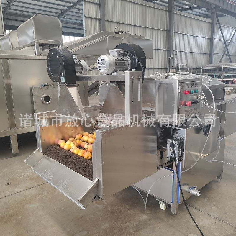 连续式水果打蜡清洗机 柚子柑橘苹果打蜡机 厂家直销水果打蜡机