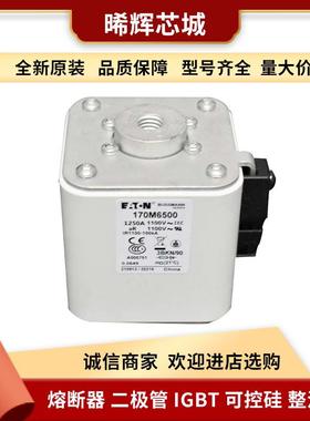 170M6511 170M2041 型号齐全 标准封装直流快速熔断器电子元器件