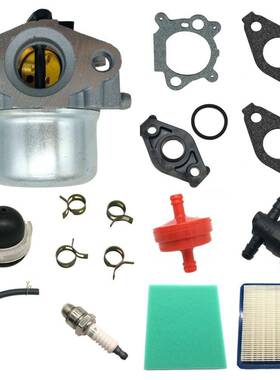 化油器799868 498170 799872 694202 694882 693909 808-011-1