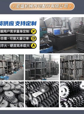 C2102/C220AL/C2122/C224AL/C2162/P100双节距输送链轮6/Y8/9-15